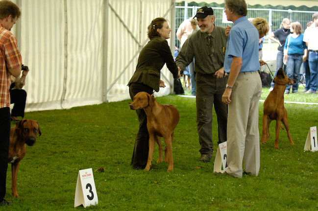 _KLM2047