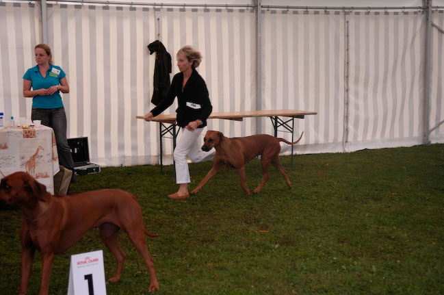 _KLM2200